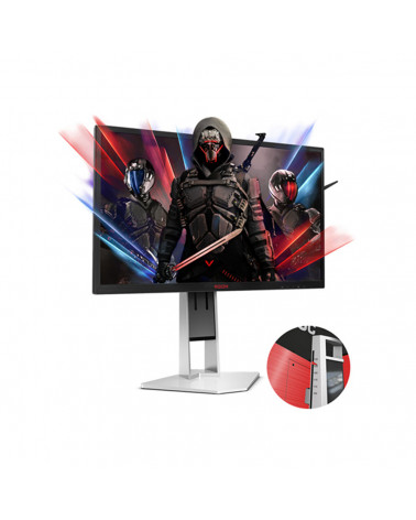 AOC AGON AG251FZ2E Ergonomic Gaming Monitor 25" with Speakers by DoctorPrint