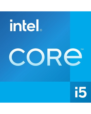 INTEL CPU Core i5-13400F, BX8071513400F